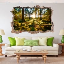 Decorative vinyl 3d sunset in the forest
