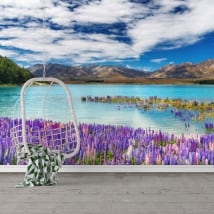 Wall murals lake tekapo new zealand