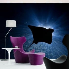 Vinyl wall murals elephant