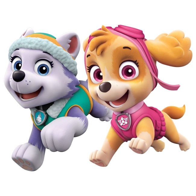 Decorative vinyl everest and skye the paw patrol