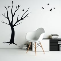 Decorative vinyl and stickers dead tree with birds