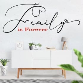Vinyl english motivational phrases family is forever