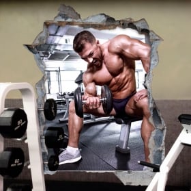 Vinyl decor walls gym fitness 3d