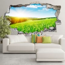 3d vinyl sunset in the field