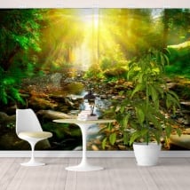 Vinyl murals sunset river in the forest