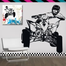 Decorative vinyl and stickers quad bike
