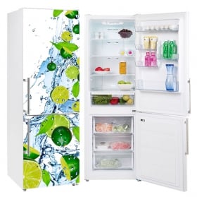 Vinyl refrigerators lemons splash water