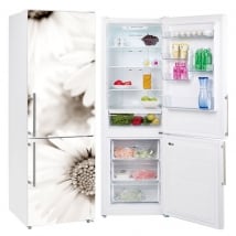 Vinyl and stickers refrigerators daisy flowers