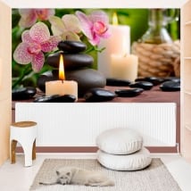 Vinyl photo murals zen walls