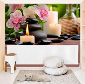 Vinyl murals with retro style to decorate