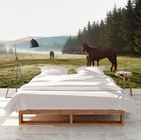 Vinyl wall murals white horse