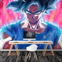 Vinyl murals dragon ball z