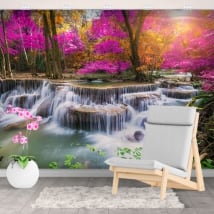 Wall mural waterfalls in the forest in autumn