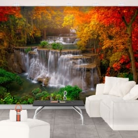 Vinyl murals waterfall and trees in autumn