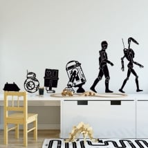Vinyl and stickers star wars evolution