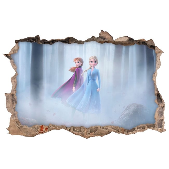 Vinyls and 3d stickers disney frozen 2