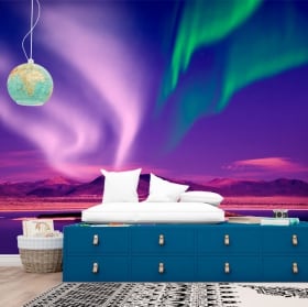 Vinyl wall murals northern lights