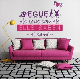 Vinyl phrases in catalan follow your dreams