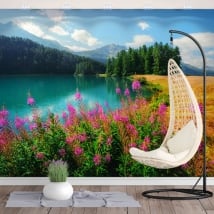 Vinyl murals lake champfèr