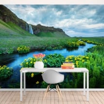 Wall murals seljalandsfoss waterfalls iceland