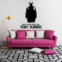 Vinyls tv series peaky blinders