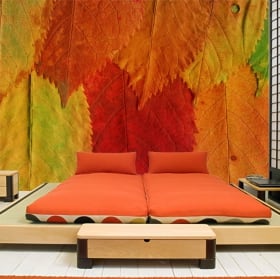 Photo wall murals tree nature