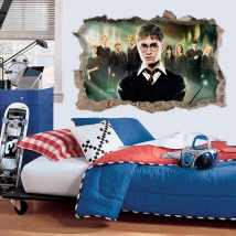 Vinyl and stickers 3d harry potter