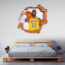 3d vinyl basketball lebron james nba