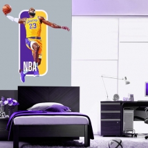 Vinyl and stickers lebron james nba