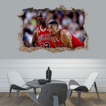 3d decorative vinyl michael jordan chicago bulls