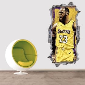 Vinyls 3d basketball lebron james nba