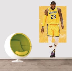 Vinyl and stickers lebron james
