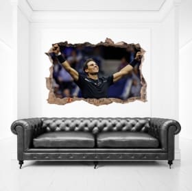 Vinyl hole wall 3d tennis rafa nadal