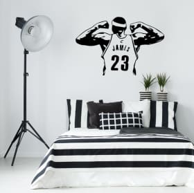 Decorative vinyl and stickers lebron james