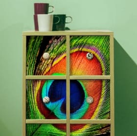 Vinyl for furniture or cabinets peacock feather