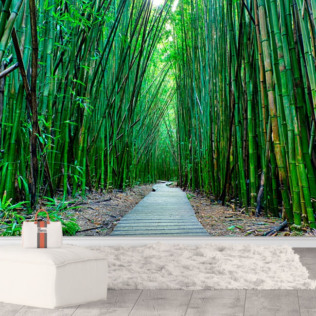 Zen bamboo forest landscape path wallpaper or mural