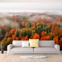Wallpaper or wall mural forest landscape in autumn with mist seen from above