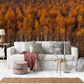 Wall mural or wallpaper horizontal landscape trees forest autumn decoration