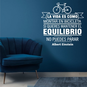 Vinyl phrase ride a bicycle albert einstein
