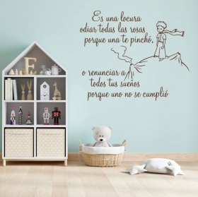 Decorative vinyl phrase the little prince