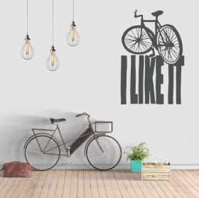 Vinyl phrases in english i like it bicycles